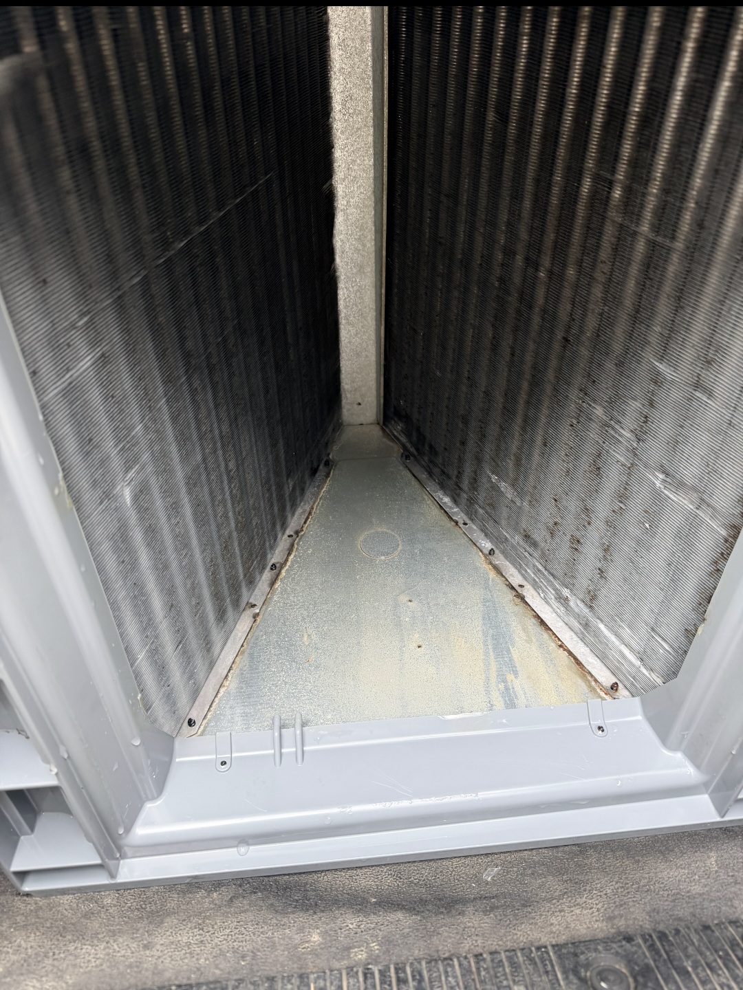 Cleaned coil and cabinet area